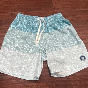 Chubbies Teal and White Men's Swim Board Shorts